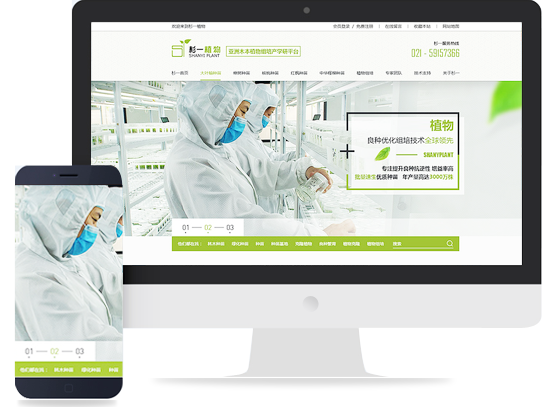 网站建设 打造高效、美观的在线平台