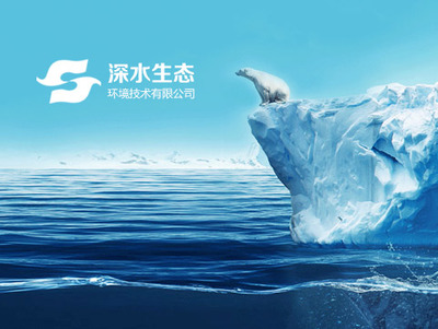 网站建设 从规划到上线的全面指南